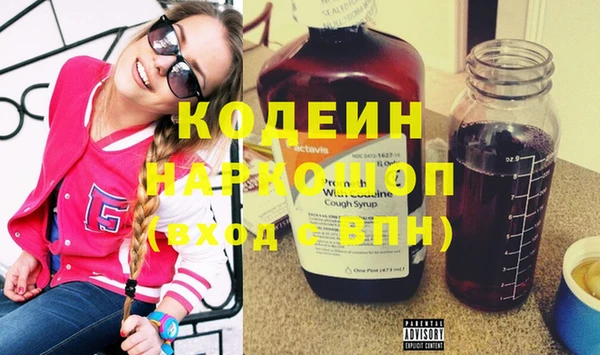 гашик Дмитриев