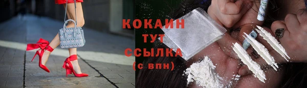 гашик Дмитриев