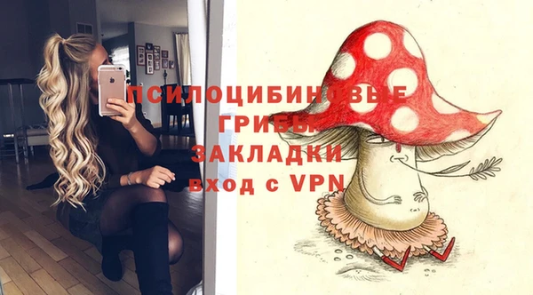 mdma Дмитровск