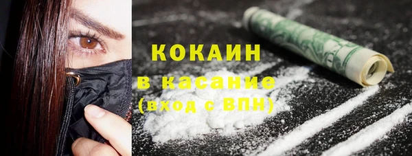 гашик Дмитриев