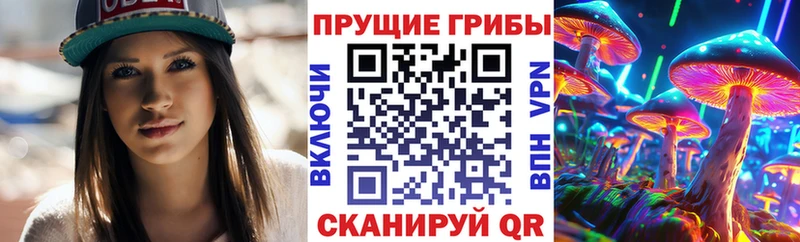 Псилоцибиновые грибы Psilocybine cubensis  Купить где  Ишимбай 